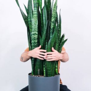 kzsvnjkadnvjkadnjkvdfn